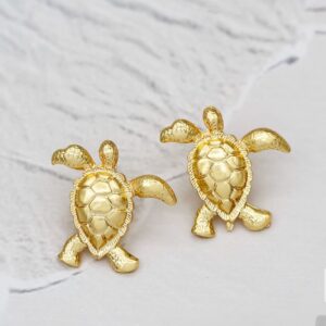 ARETAS TORTUGA