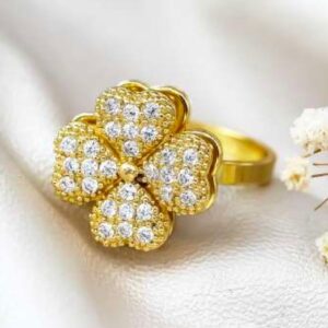 ANILLO GIRATORIO